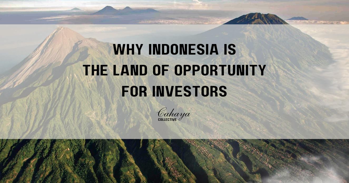 Why Indonesia is the Land of Opportunity for Investors